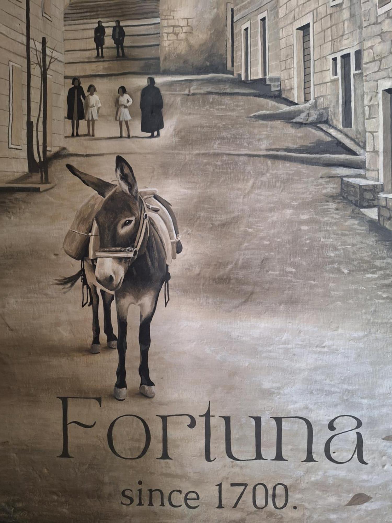 Fortuna Nerezisca Esterno foto